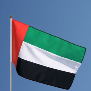 Hand Waving Pole Flags